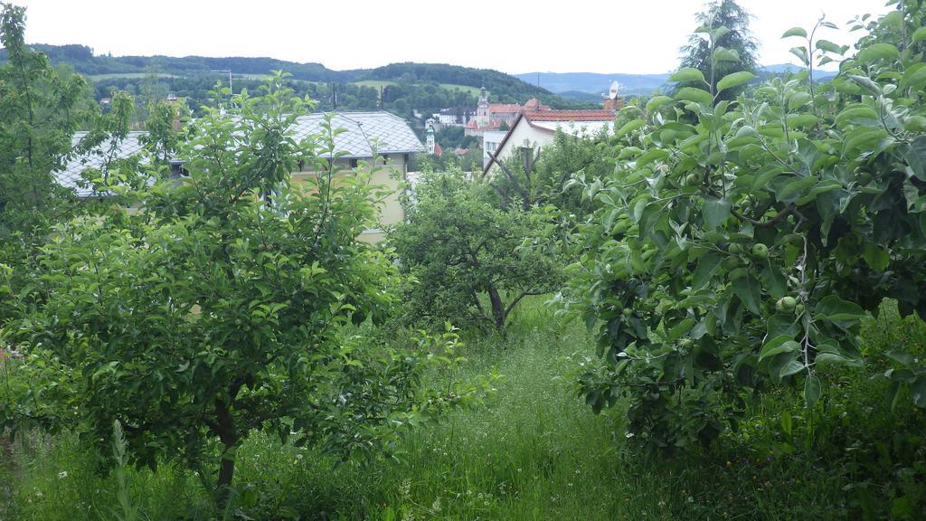 Ubytování u Dolanských Český Krumlov Exterior foto